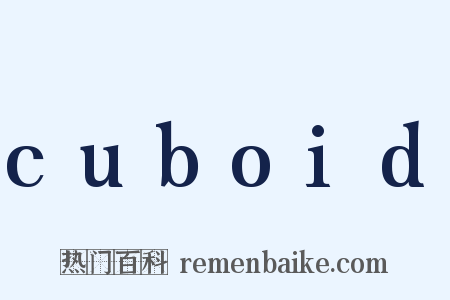 cuboid是什么意思的图片